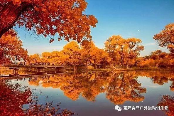 做完显微镜实验后收拾器材时要调节光圈吗？游戏画面
