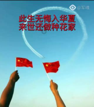 破碎的动物图形2