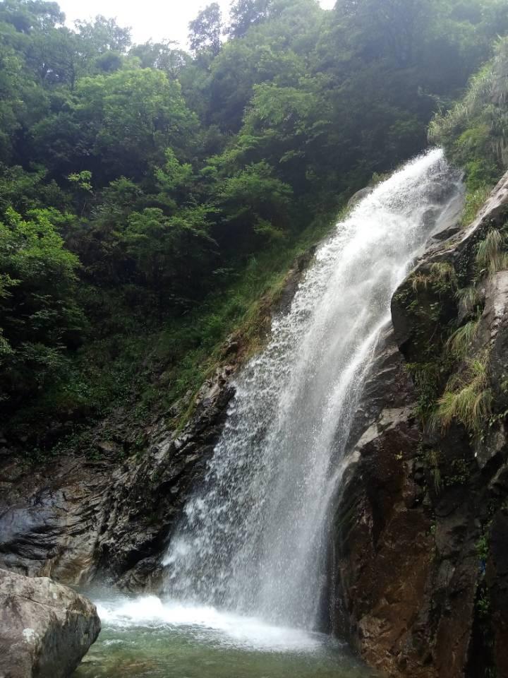 魔狐泡泡龙